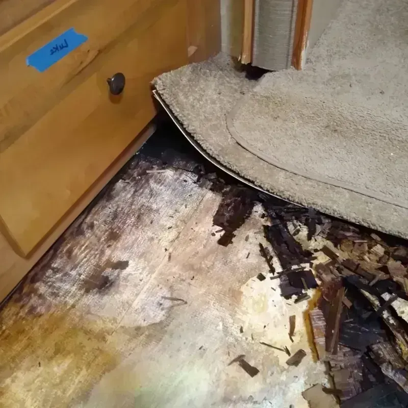 Wood Floor Water Damage in Paulina, LA